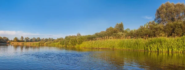 ポーランドの小さな川のパノラマ 海岸沿いの葦で生い茂る — ストック写真