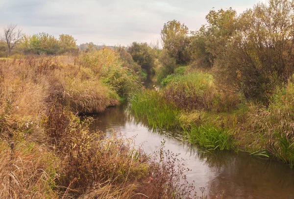Осінній Осінній Ранок Маленькій Річці Полісі Україні — стокове фото