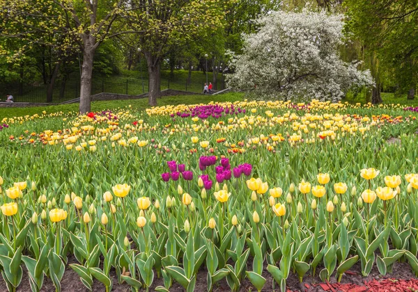 KIEV, UKRAINE - 29 Nisan - 10 Mayıs 2017 tarihleri arasında Kiev 'deki 