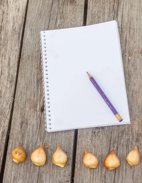 Tulipanes Cuaderno Con Una Página Blanco Para Inscripción Fondo Madera —  Fotos de Stock