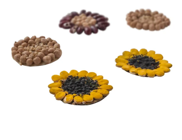儿童创造力的自然材料 南瓜籽和鹰嘴豆的花朵在白色背景上被隔离的圆形纸片上 有选择的重点 — 图库照片