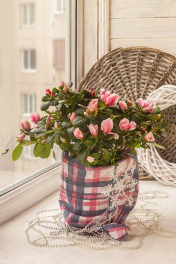 Kış tatili için pencereyi süslüyordum. Süslü kar taneli ve boncuklu Azalea..