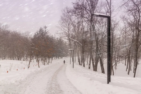 Vägen Parken Genom Stark Snöstorm Vintern — Stockfoto