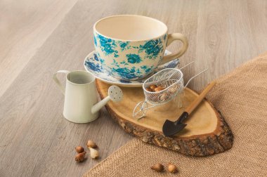 Kışın çiçek açmaya zorlanan kartopu soğanları, küçük bir kürek ve gri bir masada dekoratif bir sulama kutusu..