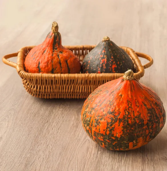 Three Pumpkin Varieties Hokkaido Wooden Background — Stock Photo, Image