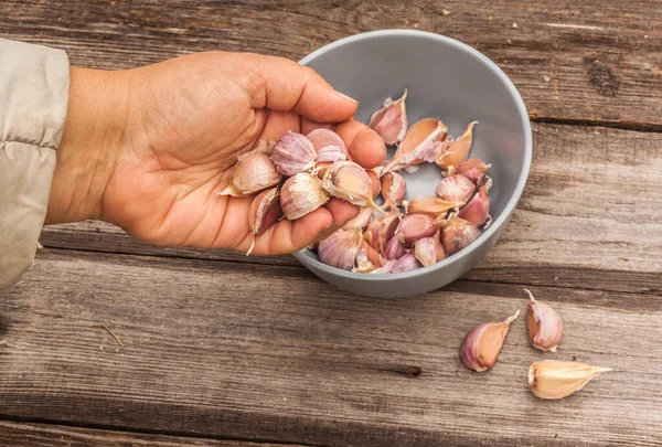 Mano Che Tiene Uno Spicchio Aglio Sullo Sfondo Della Ciotola — Foto Stock