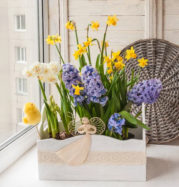 Vita Och Gula Påskliljor Och Hyacint Blomma Låda Dekorerad Med — Stockfoto