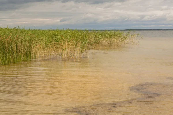 Día Nublado Lago Svitiaz Svitiaz Parque Nacional Natural Shatsky Ucrania — Foto de Stock