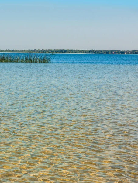 Прозора Вода Озері Світяз Сонячний День Озера Шацька Національний Природний — стокове фото