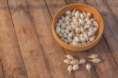 Bahçeye dikmeden önce ahşap bir kasede küçük soğan soğanları. Bahar zamanı, bahçe konsepti..