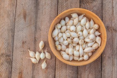 Bahçeye dikmeden önce ahşap bir kasede küçük soğan soğanları. Bahar zamanı, bahçe konsepti..