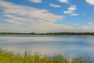 Güneşli bir günde Svitiaz Gölü 'nde şeffaf su (Shatsk Gölü, Shatsky Ulusal Doğal Parkı)