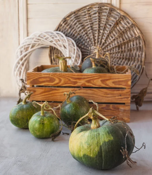 Many Nutmeg Pumpkins Variety Vitamin Gray Table — Stock Photo, Image