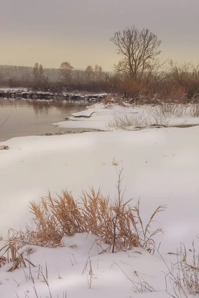 Vinterlandskap Snöfall Flod Polissya — Stockfoto