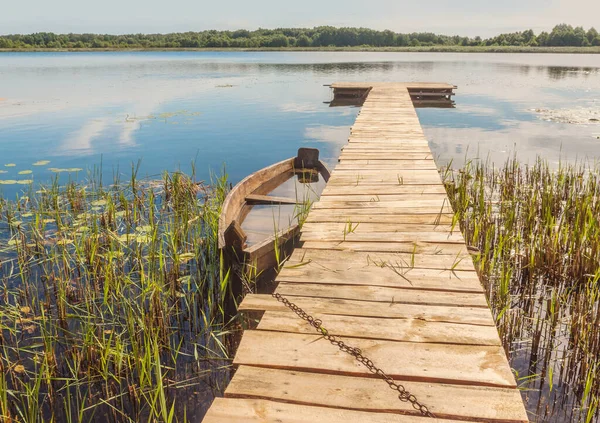 Old Boat Reeds Lake Svitiaz Svitiaz Shatsky National Natural Park — Stock Photo, Image