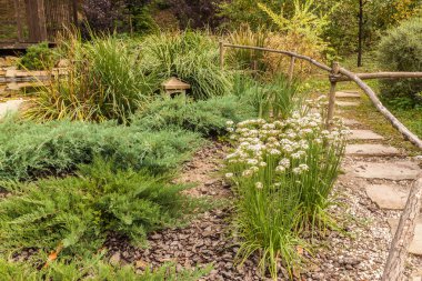 Sonbaharda çay köşkünün arka planında Allium ramosum ve oryantal fener bulunan stilize Japon bahçesi.