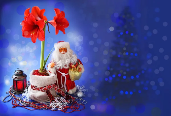 新年宁静的生活 红杏花 玩具圣诞老人和圣诞灯笼烛台 — 图库照片