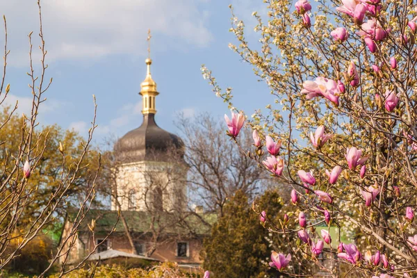 Kyiv Ukraine 22エイプリル2019 早春のキエフの国立植物園にある聖三位一体イオニンスキー修道院 木や茂みの美しい枝 — ストック写真