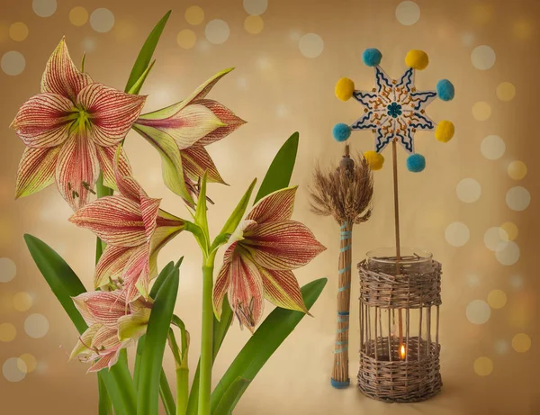 Weihnachten Hintergrund Mit Einer Symbolischen Garbe Diduh Weihnachtsstern Und Hippeastrum — Stockfoto