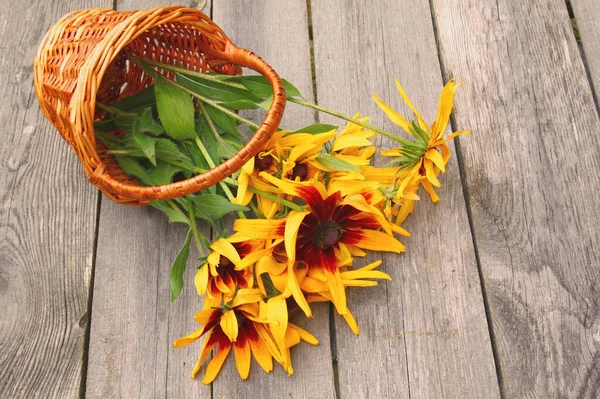 Bouquet Rudbeckia Pour Tables Bois — Photo