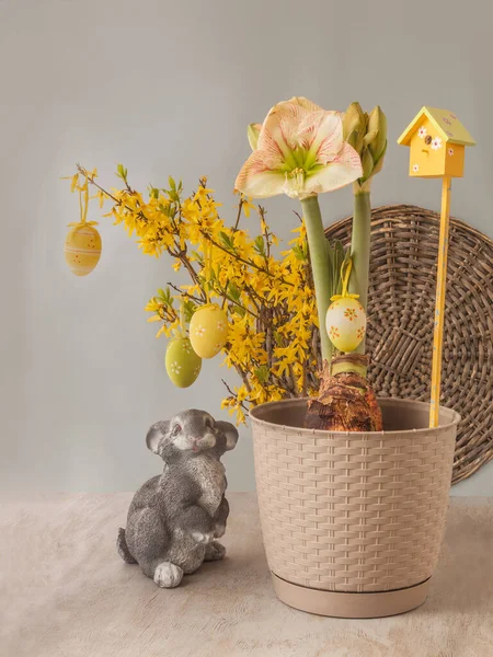 Concept Spring Blooming Hippeastrum Amaryllis Princes Claire Next Figure Rabbit — Stock Photo, Image