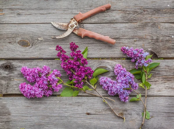 Perruque Fleurs Lilas Violet Bleu Sécateurs Sur Une Table Bois — Photo
