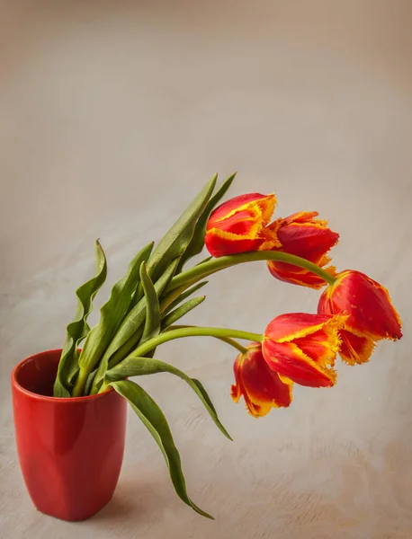 Цветочные Красные Тюльпаны Красной Вазе Сером Фоне — стоковое фото