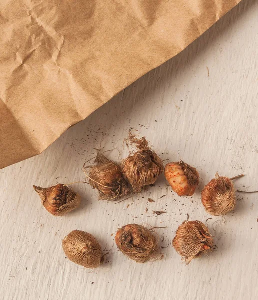 Ixia Bollen Naast Papieren Zak Een Grijze Tafel — Stockfoto