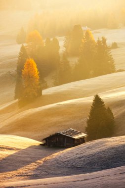 Alpe di Siusi veya Seiser Alm puslu peyzaj bakışta güzel gündoğumu, Dolomites dağ, İtalya