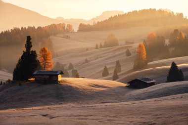 Alpe di Siusi veya Seiser Alm puslu peyzaj bakışta güzel gündoğumu, Dolomites dağ, İtalya