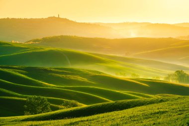 Hills, Toskana bölgesindeki yeşil alanları, minimalist yatay inişli çıkışlı tepeler, dalgalar. İtalya