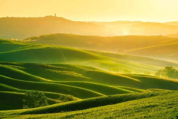 Vlny Hills Zvlněné Kopce Minimalistický Krajina Zelenými Poli Toskánsko Itálie — Stock fotografie