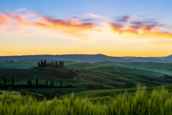 日の出と圧延緑の丘のフィールドでトスカーナの風景 イタリア — ストック写真