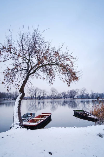 Річковий Човен Зимовому Сніговому Ландшафті Угорщині — стокове фото