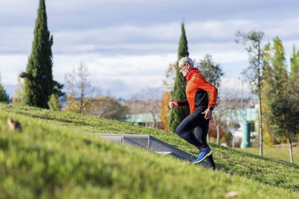 Bir üst düzey Beyaz atlet adam eğitim çalışan bir park açık havada merdivenlerde yukarı ve aşağı güneşli bir gün yan görünüm