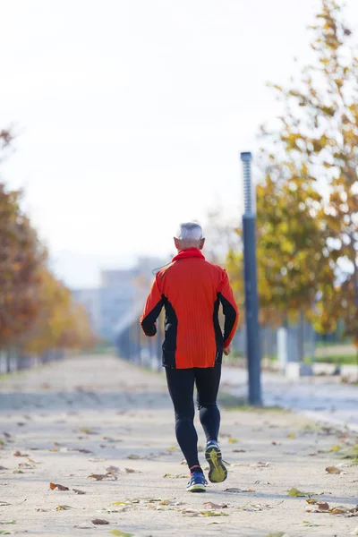 Vista trasera de un hombre mayor en ropa deportiva corriendo en el parque en un día soleado —  Fotos de Stock