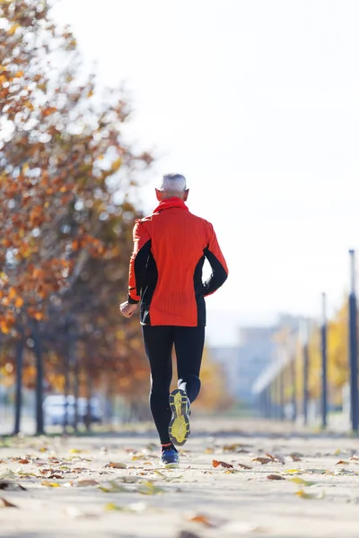 Visão traseira de um homem sênior em roupas esportivas correndo no parque em um dia ensolarado — Fotografia de Stock