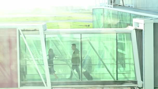 Пассажиры Аэропорта Садятся Самолет Люди Идут Реактивному Мосту Люди Гуляющие Лицензионные Стоковые Видеоролики