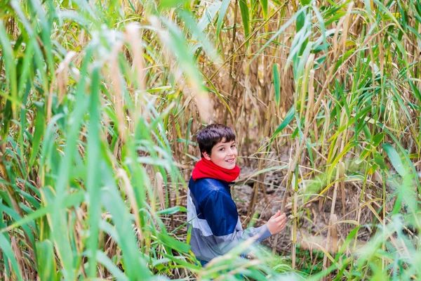 一个笑着的小男孩躲在树林里的灌木丛后面 — 图库照片