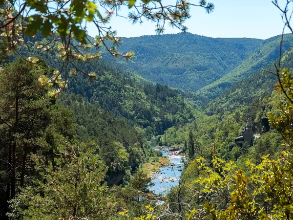 Panoramisch Uitzicht Tarn Rozier Frankrijk — Stockfoto