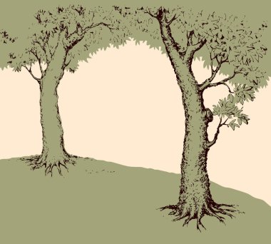 Beyaz zemin üzerinde izole geniş glade sahasındaki iki yaşlı oaks gölgesi. Serbest çizim siyah mürekkep el resim yarım yamalak sanat karalama retro tarzı kalem kağıt üzerinde metin için yer ile pembe gökyüzünde çekilmiş