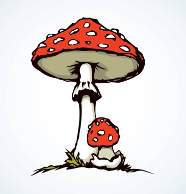 Beyaz zemin üzerinde ham olgun batağan şemsiye. Parlak turuncu renk el çekilmiş vahşi çevre logo piktogram amblemi sanat retro doodle karikatür tarzı içinde yarım yamalak. Metin için yer ile portre detaylı yan görünüm
