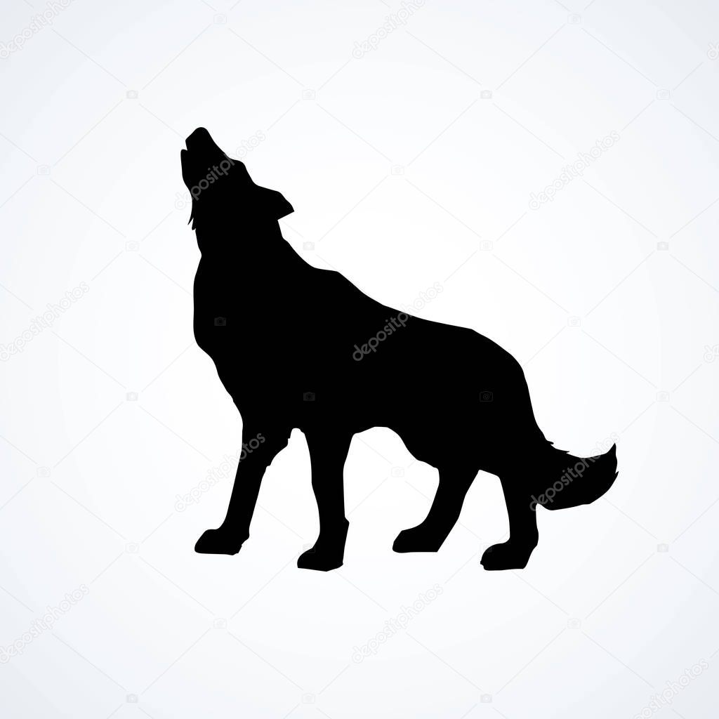 Furry gray canidae lagopus lupus stand on light sky backdrop. Dark ink hand drawn picture logotype in art retro contour print style. Closeup side view with space for text