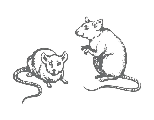 Rattus Peludo Sobre Fondo Claro Tinta Negra Freehand Logotipo Dibujado — Archivo Imágenes Vectoriales