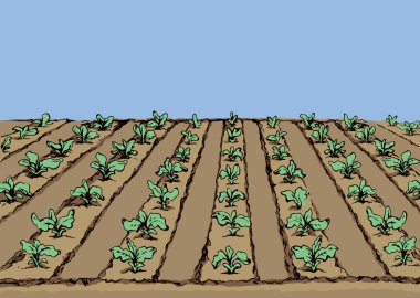 Eko yeşil erken yemyeşil ham soya bush flora kültür ekmek toprak işleme karık malç yama mavi gökyüzü arka plan üzerinde. Parlak renkli el çizilen verim sahne kroki retro doodle karikatür tarzı metin için yer ile