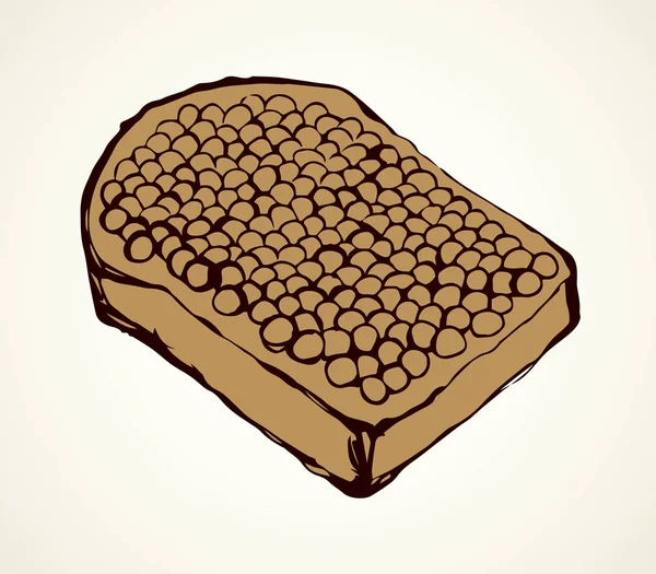 Lekkere Dikke Beluga Paait Ikura Gesneden Roggebrood Achtergrond Lijn Zwarte — Stockvector