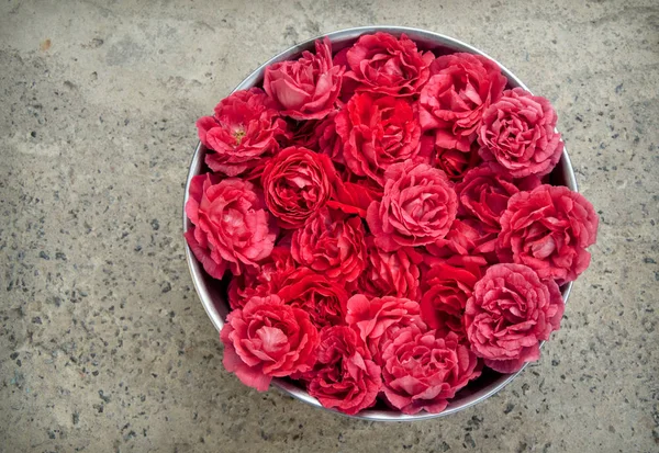 Bright Romantic Pure Fresh Crimson Rosa Flowerheads Collected Steel Bucket — Stock Photo, Image