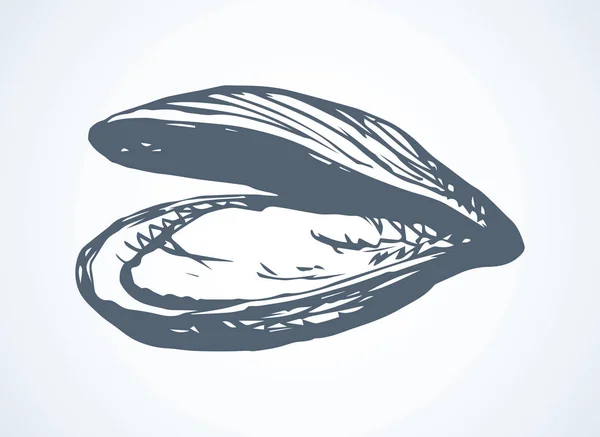 Grande Perle Fraîche Mollusque Ostreidae Sur Fond Blanc Encre Noire — Image vectorielle