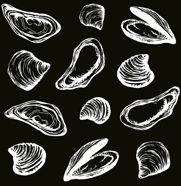 Grande Perle Fraîche Mollusque Ostreidae Sur Fond Sombre Encre Noire — Image vectorielle
