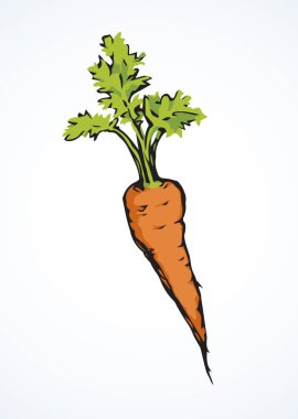 Beyaz zemin üzerinde izole olgun taze özlü kırmızı Daucus carota haulm taproot. Parlak turuncu el çizilmiş logo işareti simgesi retro sanat doodle çizgi roman tarzında yarım yamalak. Portre görünümünde metin alanı olan